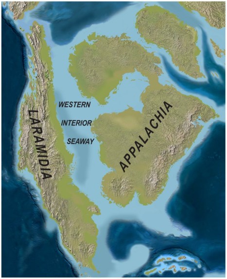 North America during the Late Cretaceous, or 50 years time.