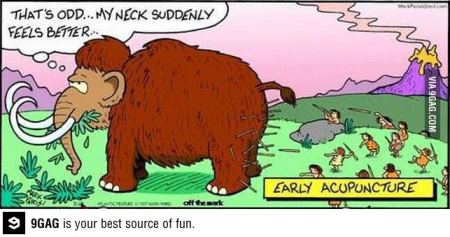 Did early acupuncture drive the mammoths to extinction..? (source)
