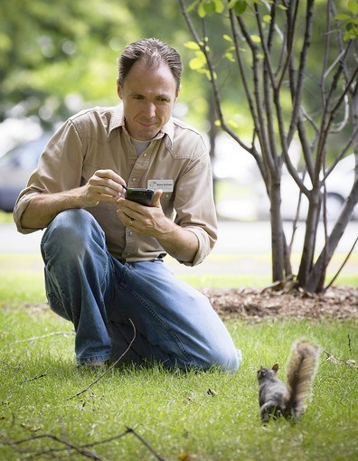 Citizen science with squirrels! Just for Lou and Eva, to see if they actually ever read this ;) (source)