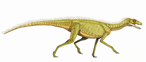 Life restoration of Silesaurus (source). CC-BY SA 3.0