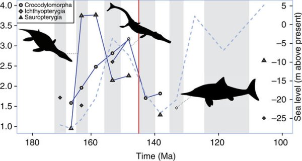 Marine tetrapod diversity and its relationship to sea level
