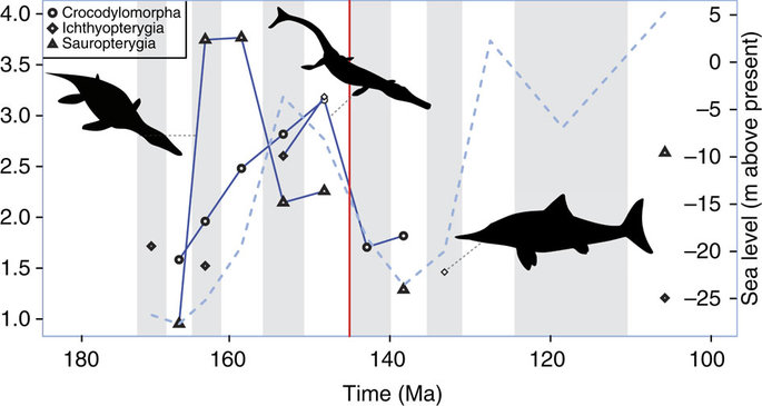 Marine tetrapod diversity and its relationship to sea level during the Jurassic and Cretaceous